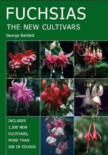 Fuchsias - George Bartlett