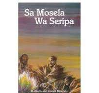Sa Mosela Wa Seripa Folklore Sepedi Gr10-12 (Heinemann) - MJ Mpepele MJ Mpepele