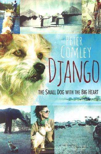 Django - Peter Comley
