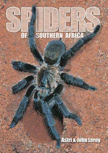 Spiders of Southern Africa - LEROY,A