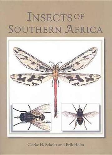 Insects of Southern Africa - C. Scholtz