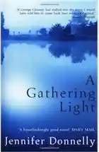 Gathering Light - Rod Mackenzie