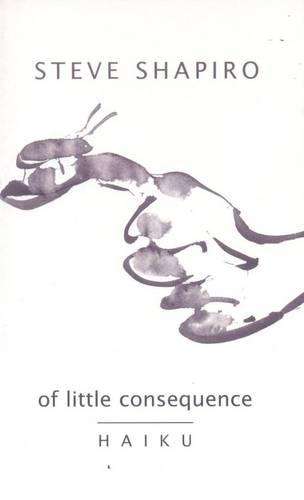 Of Little Consequence - Steve Shapiro