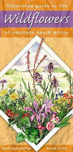 Illustrated guide to wildflowers of Northern South Africa - Gerrit Germishuizen