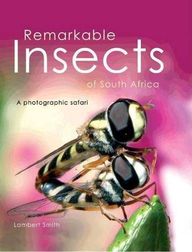 Remarkable insects of South Africa - Lambert Smith