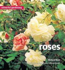 ROSES - ROSS