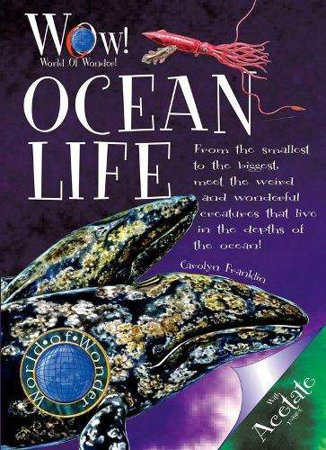 Ocean Life - Carolyn Franklin