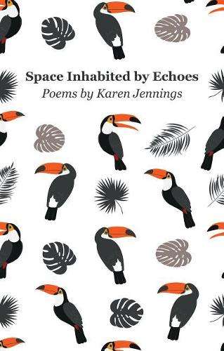 Space Inhabited by Echoes - Karen Jennings