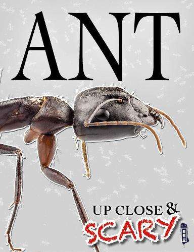 Up Close & Scary Ant - Louise & Richard Spilsbury
