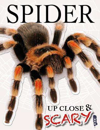 Up Close & Scary Spider - Louise & Richard Spilsbury