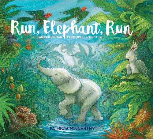 Run Elephant Run - Patricia MacCarthy