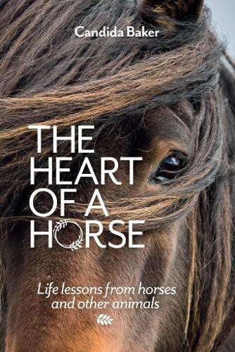 \Heart of a Horse - N"
