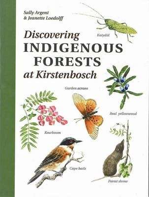 Discovering indigenous forests at Kirstenbosch - ARGENT,S
