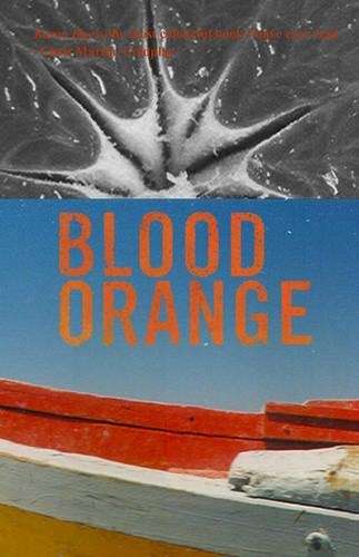 Blood orange - Troy Blacklaws