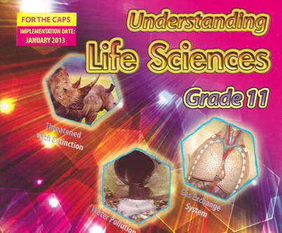 UNDERSTAND LS GR 11 LB SECONDHAND - LS-GR11