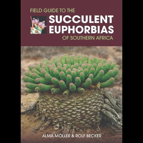 Field Guide to the Succulent Euphorbias of southern Africa - Alma MÃ¶ller
