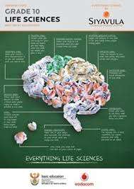 BIDVEST LIFE SCIENCE GR10 LB - LS-GR10
