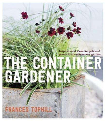 The container gardener - Frances Tophill