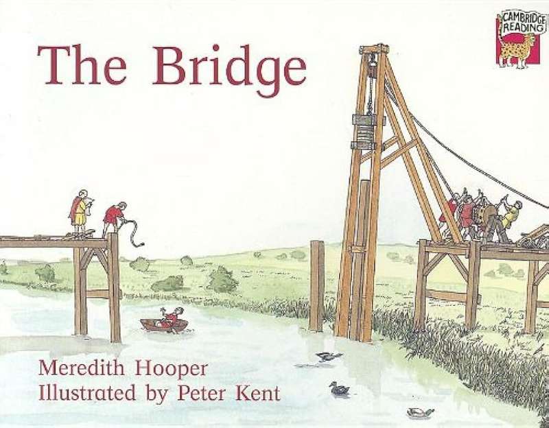 BRIDGE CAMBRIDGE AS MATHS PURPLE PEPPER - MATHS-GR12
