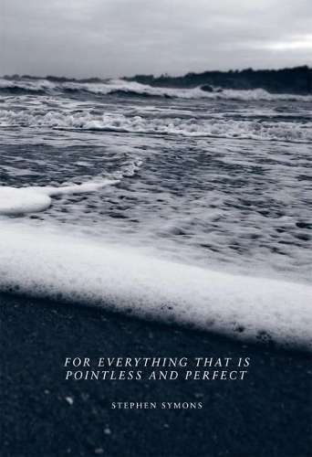 For Everything That is Pointless and Perfect - Stephen Symons