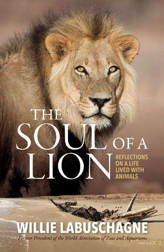 \Soul of A Lion - N"