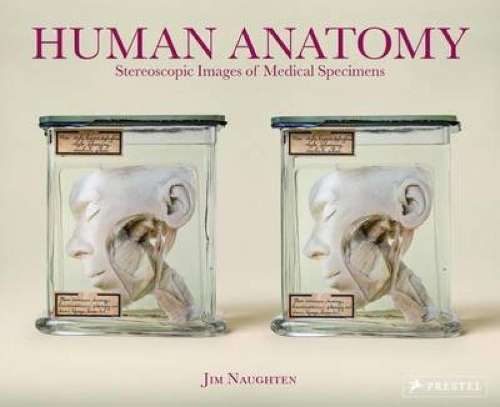 Human Anatomy - Jim Naughten