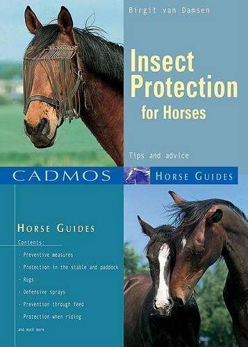 Insect Protection for Horses - Birgit van Damsen
