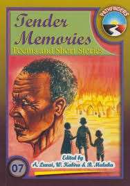 TENDER MEMORIES - LUVAI,A