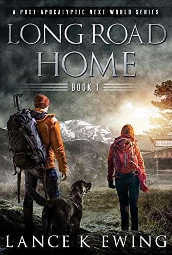 LONG ROAD HOME - IMMELMAN,D