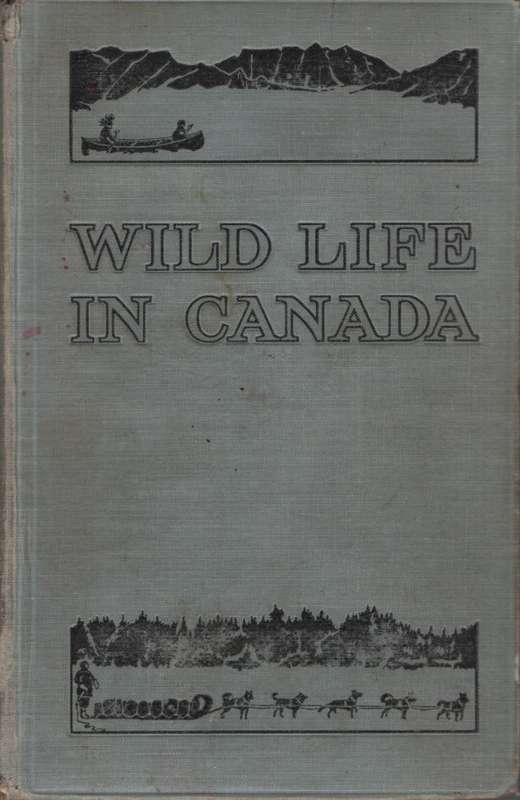 Wild Life in Canada. Second-hand SECONDHAND - Angus Buchanan
