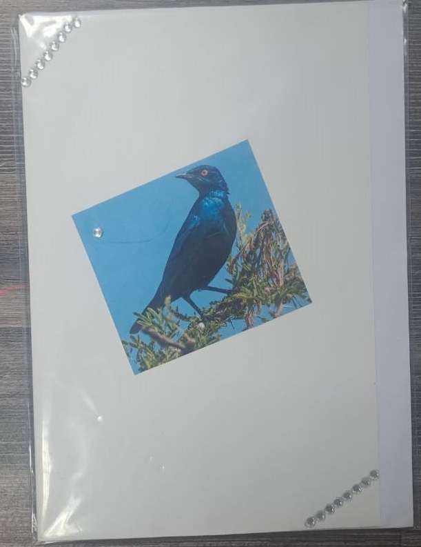 GREETING CARD HANDMADE BY ANNETTE - GREETING-CARD-ANETTE