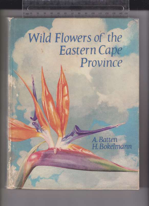 WILD FLOWERS OF THE EASTERN CAPE PROVINC - BATTEN,A