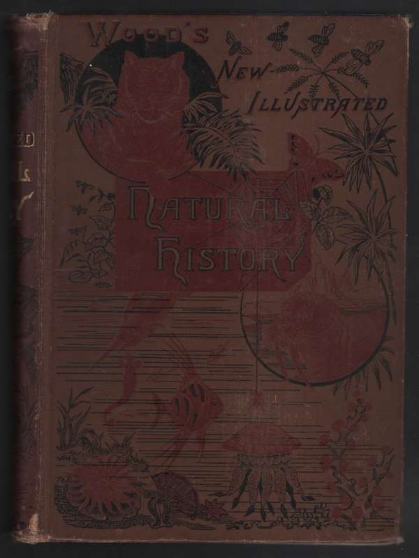 The New Illustrated Natural History - Wood, J. G.