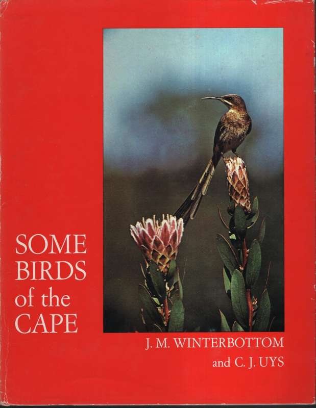 SOME BIRDS OF THE CAPE - WINTERBOTTOM,JM