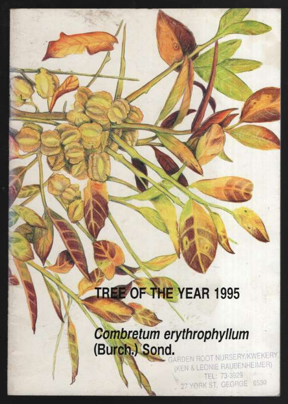 Combretum erythrophyllum (Burch.) Sond.: Tree of the Year, 1995. Pam - Esterhuyse, C. J.