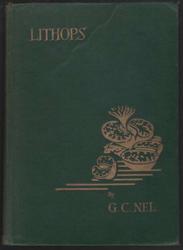 Lithops. Plantae succulentae, rarissimae, in terra obscuratae, e fam - Nel, G. C.