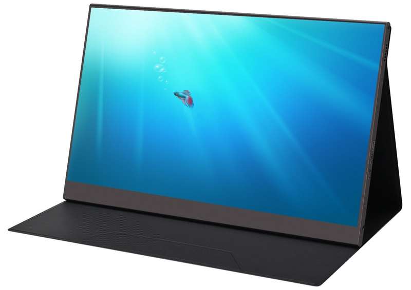 MECER 15.6'' IPS FHD USB Monitor Non-Touch Aluminium/ 16:9/ 4ms/250cd/m2/ TYPE C x2/ Mini HDMI x1...