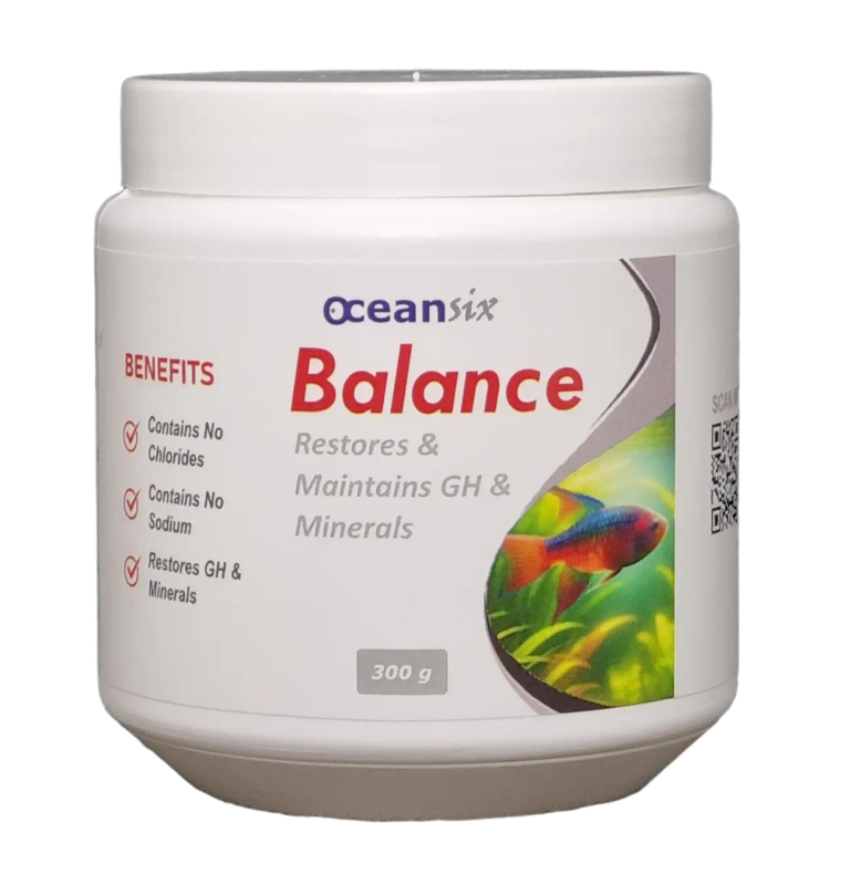 Balance (300g)