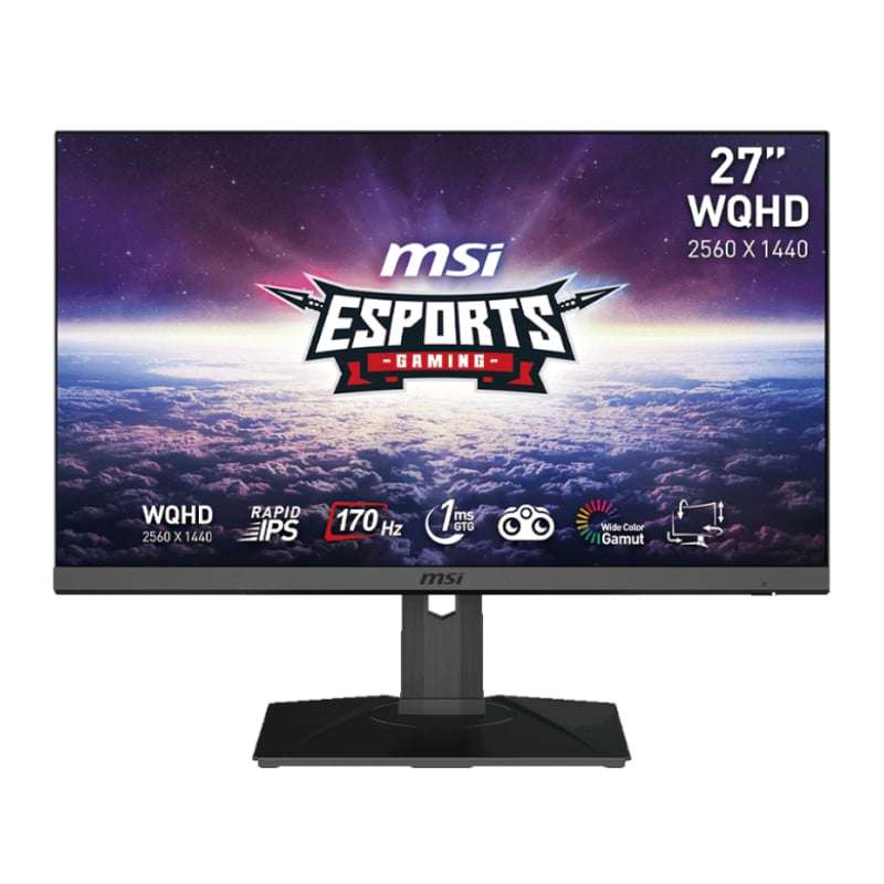 MSI G272QPF 27" Gaming Monitor 2560 x 1440 (QHD) Rapid IPS 1ms 170Hz G-Sync Compatible HDR Ready ...