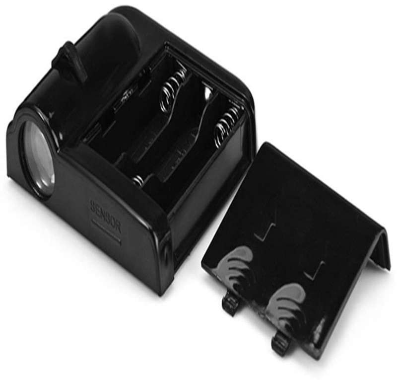 Courtesy door light inside model