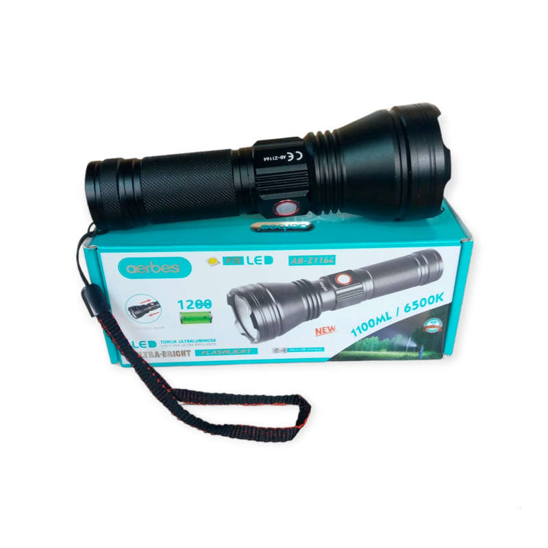Flashlight with 1200mah Battery