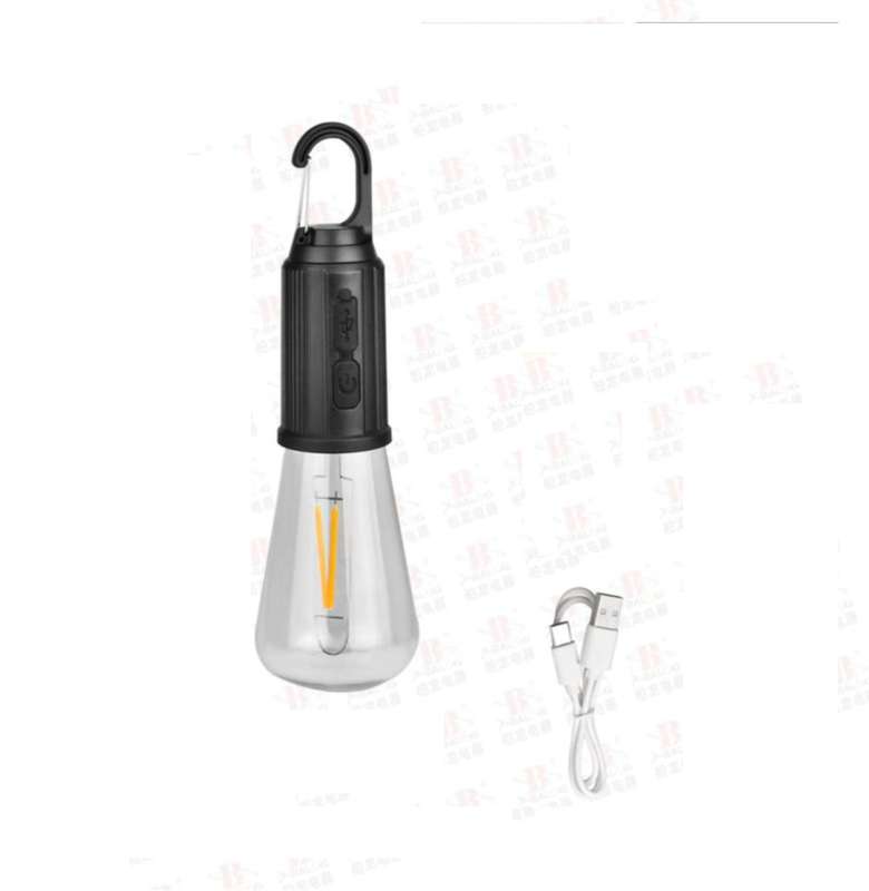 Portable waterproof rechargeable LED light with hook