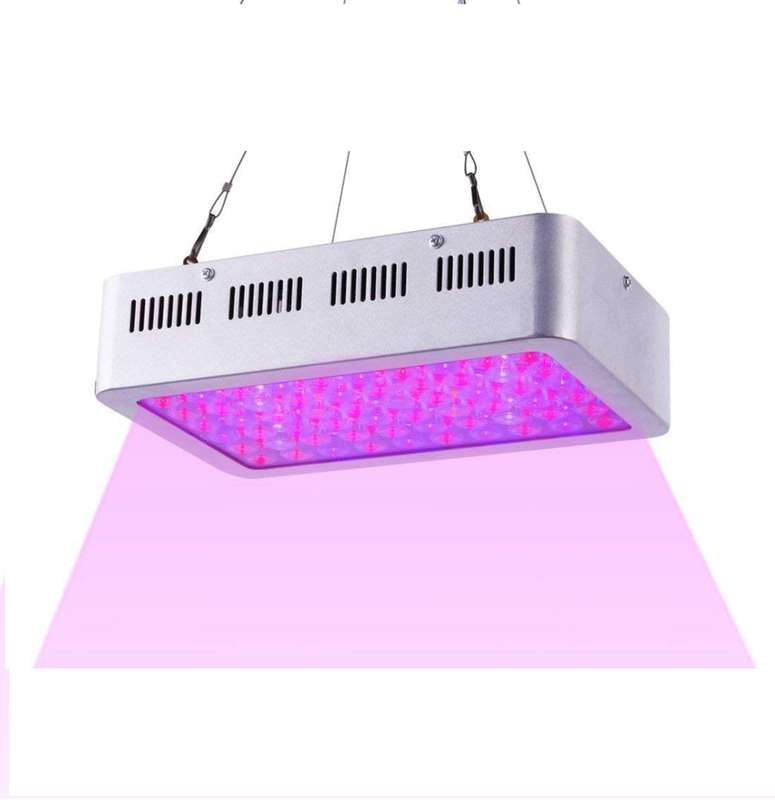 6OOW LED grow light white