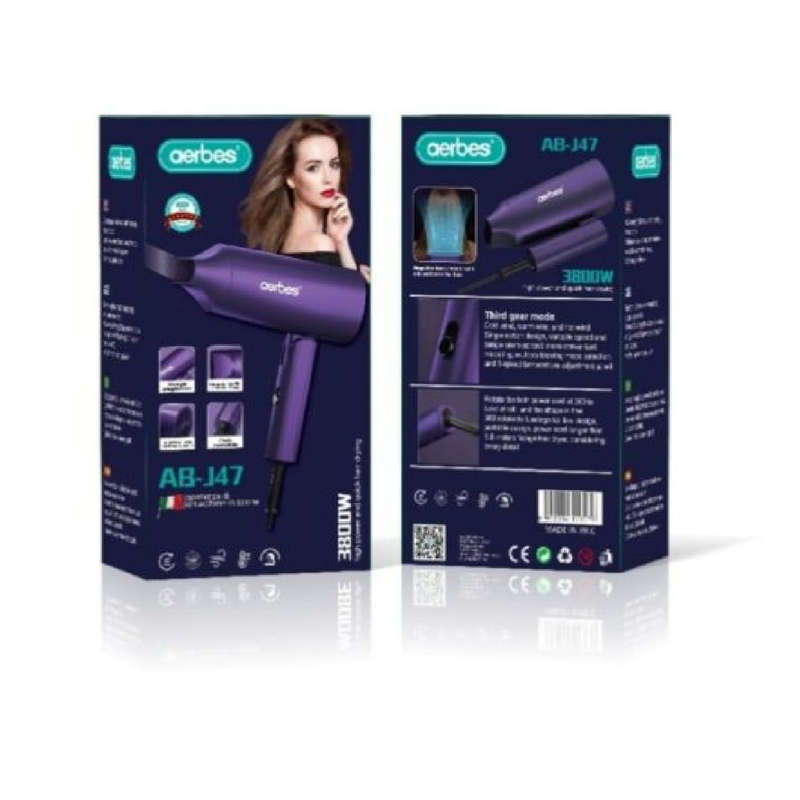 Professional Hair Dryer