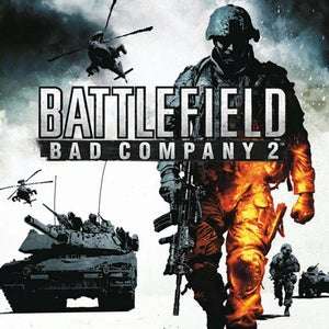Battlefield: Bad Company 2 (PC DVD)