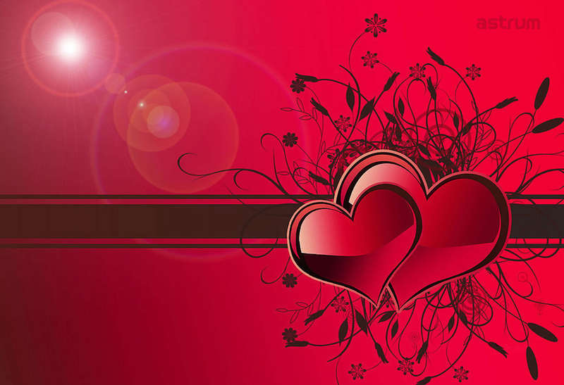 NB200 NOTEBOOK STICKER 15.6 3D HEARTS"