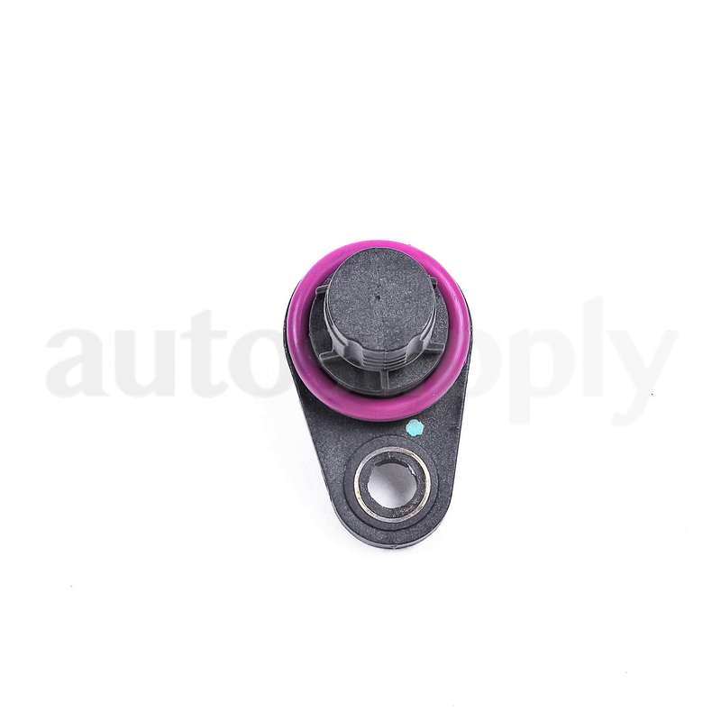 Land Rover NSC000310L - Camshaft Position Sensor