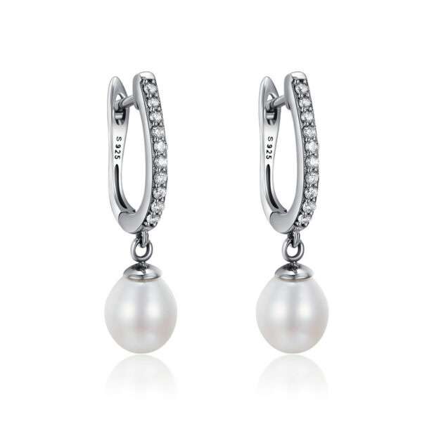 Dangle Pearl And Cubic Earrings