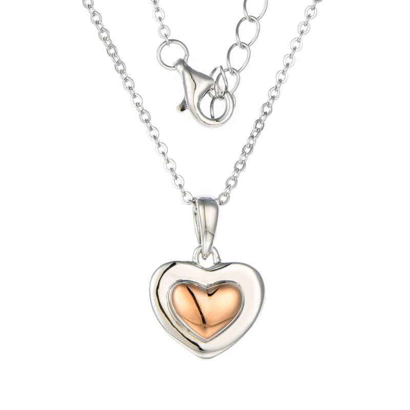 Silver And Rose Gold Plated Heart Necklace