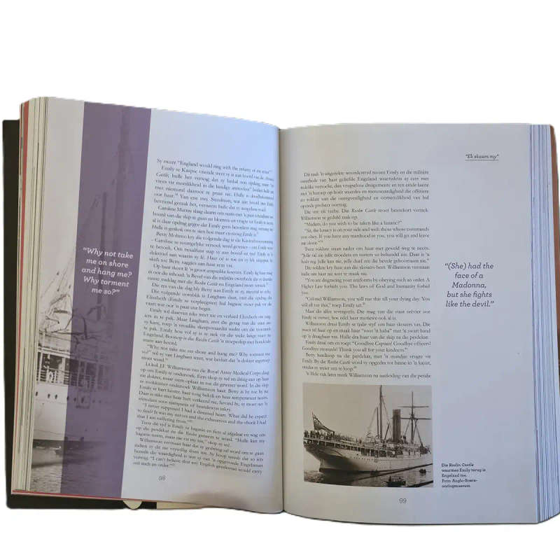Emily Hobhouse: Geliefde Verraaier - Elsabe Brits